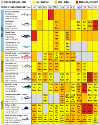 puerto vallarta fishing calendar