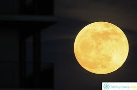 Nguyệt thực là hiện tượng thiên văn khi mặt trăng đi vào hình chóp bóng của trái đất, đối diện với mặt trời.điều này chỉ có thể xảy ra khi mặt trời, trái đất và mặt trăng thẳng hàng hoặc xấp xỉ thẳng hàng với nhau, với trái đất ở giữa. Náº±m Ngá»§ MÆ¡ Tháº¥y TrÄƒng La Ä'iá»m Bao Gi Tá»'t Hay Xáº¥u Ä'anh Sá»' Gi