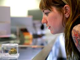 You can now buy legal marijuana in Nevada