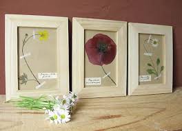 Pour Un Herbier Travaux Manuels Nature Idee Deco Recup Herbier