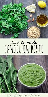 Dandelion Pesto Recipe Dandelion Recipes Foraging Recipes Herbal Recipes