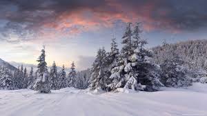 Bäume, winterhintergründe, schnee, download 3840x2160 bäume, bildschirmhintergrund. Amazing 4k Winter Wallpapers Top Free Amazing 4k Winter Backgrounds Wallpaperaccess
