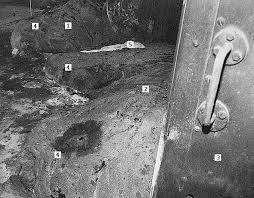 John murdaca news.com.au september 23, 2018 2:52pm Elephant S Foot Chernobyl Historical People Elephant Chernobyl