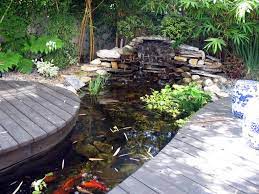 We build custom ponds and also dams. Koi Ponds Waterfalls Pond Builder Miami Koi Ponds Above Ground