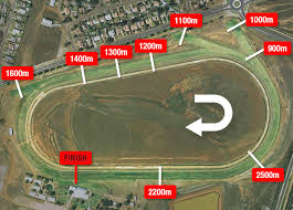 Discover the best of dubbo so you can plan your trip right. Dubbo