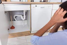 It could be potentially damaging to your cabinets, the floor or maybe even drainpipes (depending on your setup). Why Is My Kitchen Sink Leaking 8 Common Causes