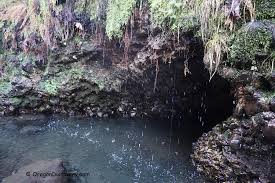 Maybe you would like to learn more about one of these? Deer Creek Hot Springs Aka Bigelow Cascade Mountains Oregon Discovery