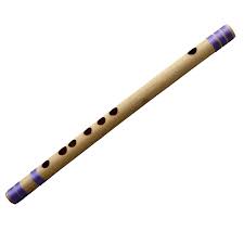 Whitewhale Flûte en bambou indienne bansuri - Instruments de musique  indiens pour usage professionnel : Amazon.fr: Livres