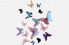 Butterfly bush butterfly kisses butterfly flowers monarch butterfly blue butterfly butterfly wings butterfly meaning beautiful bugs beautiful butterflies. Butterfly Cuteness Victon Aesthetics Color Butterfly Watercolor Painting Blue Insects Png Pngwing