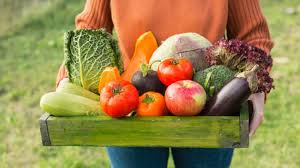 How to start a small vegetable garden from scratch. How To Start A Vegetable Garden Small Space Tight Budget Gardening