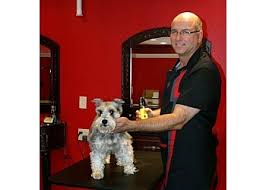 Opening hours for pet stores & supplies in wichita, ks. 3 Best Pet Grooming In Wichita Ks Expert Recommendations