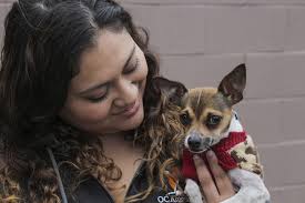 Making a Difference for Animals in Need: Jessica Novillo