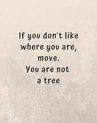 Need Motivation Quotes Moved On Thank You I Cant Wait To Start The Next Chapter With You Motivational Quotes Words Quotes Quotes