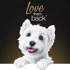 Cesar Home Delights Wet Dog Food