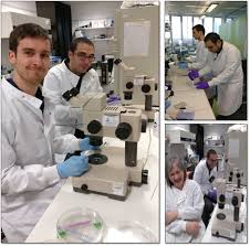 Tituly od filip láb na gorila.sk. The Story Of My Phd The Node