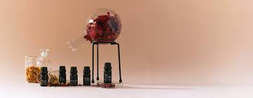 Image result for Lippia somalensis