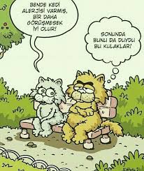guzel sozler hulya adli kullanicinin girgir samata panosundaki pin kedi karikatur komik