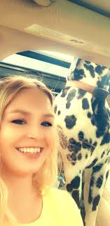 Dalmatian ride or drive just thought this was so pretty.