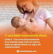 11 aylik bebek gelisim ozellikleri cocuklu dunya yenidogan bakimi bebek bebek gelisi