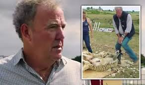 A salute to all our fellow cattlemen out there working 365 days a year to do the same. Jeremy Clarkson Told Go Back To London As He S Kicked In Privates By Sheep On His Farm Tv Radio Showbiz Tv Express Co Uk