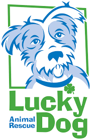 Subscribe to our mailing list! Lucky Dog Animal Rescue Guidestar Profile