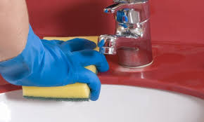 get rid of the germs in my sink