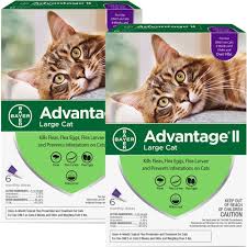 Only comfortis offers you all of these benefits in a single product: Advantage Ii For Large Cats Over 9 Lbs Free Shipping Entirelypets