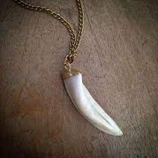 Pin On Wolf Tooth Necklace
