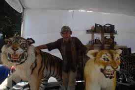 Cara melukis pohon daun hijau bagus buat pendidikan anak anak. Banyuwangi Merdeka Com Kampanye Anti Perburuan Satwa Dilindungi Dandy Buat Harimau Imitasi