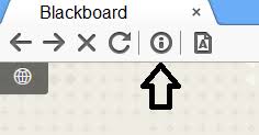 And, hey, you can download it for free. Https Support Respondus Com Support Index Php Knowledgebase Article View 326 0 How To Update Lockdown Browser