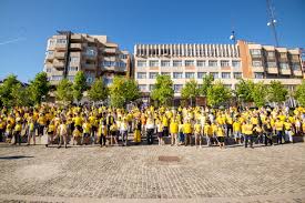 Anunturi locuri de munca valcea. Pnl Ramnicu Valcea A Dat Startul Campaniei Pentru Alegerile Locale Tribuna ValceanÄƒ