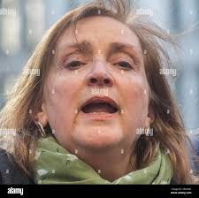 Emma Dent Coad, Labour MP for Kensington. Her constituency includes  Grenfell Tower in North Kensington where the terrible Stock Photo