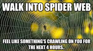 Walk Into Spider Web Feel Like Something S Crawling On You For The Next 4 Hours Internet Spider Quickmeme