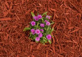 However, i love the black mulch and i use it consistently because i love the way that dark. The Best Color Mulch To Match Your House