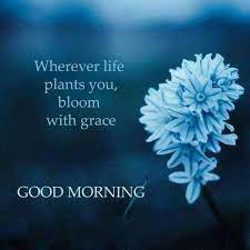 Make The Best Of Every Situation You Face Goodmorning Good Morning Quotes Good Morning Inspiration Morning Quotes