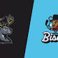 Bloomington Bison vs. Iowa Heartlanders