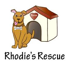 About | rhodiesrescue