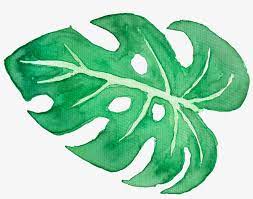 Pngtree fornisce download gratuito di immagini png, png, sfondi e vettori. Tropical Leaves On Behance Graphic Library Watercolor Tropical Leaves Png Free Transparent Png Download Pngkey
