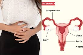 We did not find results for: Kenali Kanker Serviks Silent Killer Yang Seringkali Tanpa Gejala Semua Halaman Grid Health