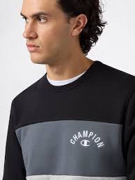 Champion Authentic Athletic Apparel Sweatshirt in Zwart
