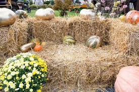 Image result for tbn:0PJB32OL7JwfOM::farm4.static.flickr.com/3324/3329876139_f2d551139f.jpg