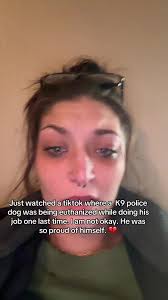 Putting Police Dog Down