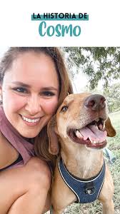 Nos dedicamos a contar historias con finales felices ❤️, Esta es la  historia de Cosmo, quien vivió en la indiferencia por mucho tiempo. Hoy  Cosmo no es invisible, Cosmo tiene una familia que se ...