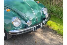 Image result for Delta Green 1968 Beetle