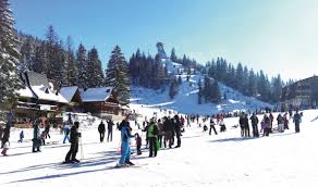 Check spelling or type a new query. Vlasic Mountain Bosnia Travel D O O