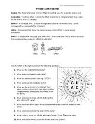 Learn vocabulary, terms and more with flashcards, games and other study tools. Codon Worksheet By Linnae Rondeau Teachers Pay Teachers
