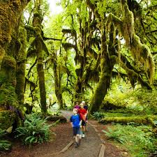 Maybe you would like to learn more about one of these? 10 Best Things To Do On An Olympic National Park Vacation