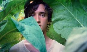 After watching the oscars, i started thinking about my favorite italian movies. The 10 Best Italian Movies On Netflix Right Now