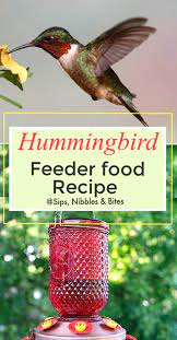 Hummingbird Food Recipe Sips Nibbles Bites Recipe Hummingbird Food Humming Bird Feeders Hummingbird Feeder Recipe