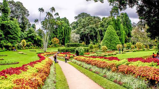 Botanical Gardens